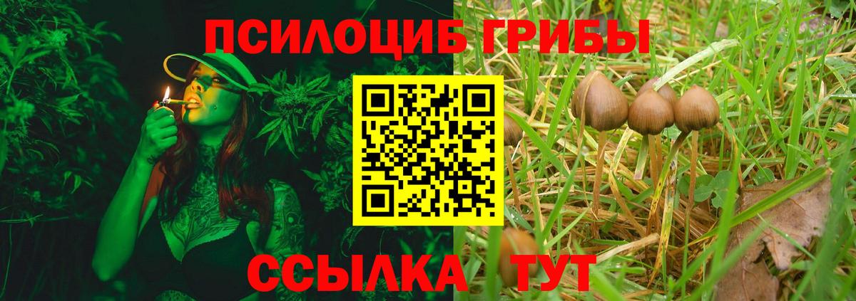 Кудрово  Псилоцибиновые грибы прущие грибы  Вход с VPN 